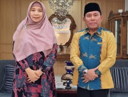 Deretan Nama Parpol yang Akan Mengusung Duet Sitti Rohmi-Firin