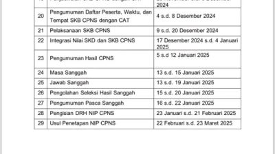 Jadwal cpns 2024