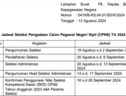 ALHAMDULILLAH! CPNS 2024 Resmi Dibuka BKN, Cek Link dan Jadwal Lengkap