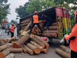 Innalillahi, Kecelakaan Maut Suami Istri Tewas Tertimpa Truk Muatan Kayu di Depan Kodam Diponegoro