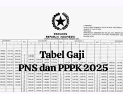 Update Gaji PNS dan PPPK 2025: Struktur, Tunjangan, dan Perbedaan Antara Keduanya